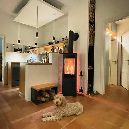 Kiekut Im Ostseewaldhaus * 스타인베르크